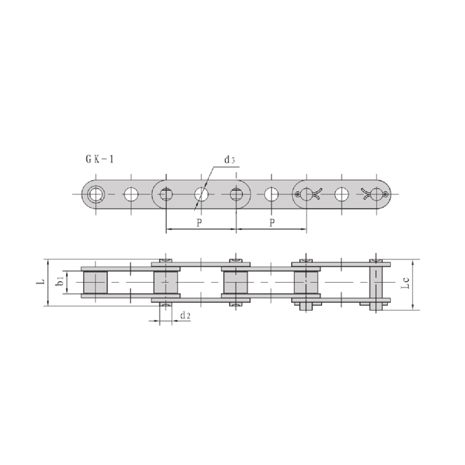 Slabhraí iompair dúbailte pitch le poill lárnacha