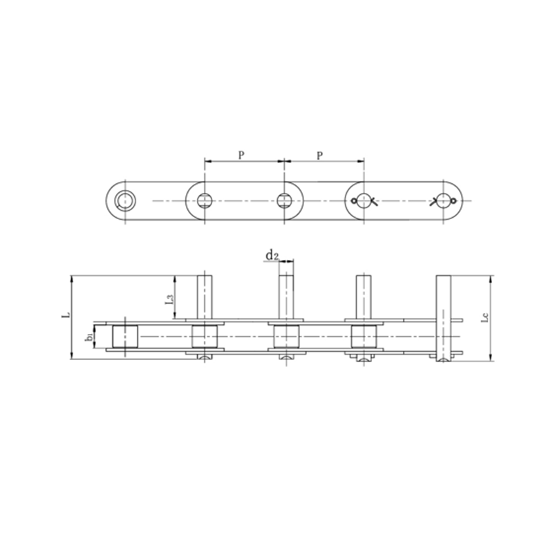 Slabhraí iompair dúbailte pitch le bioráin leathnaithe